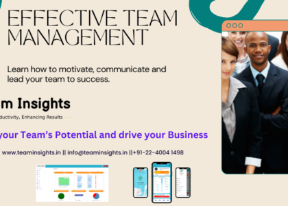 teaminsights.in