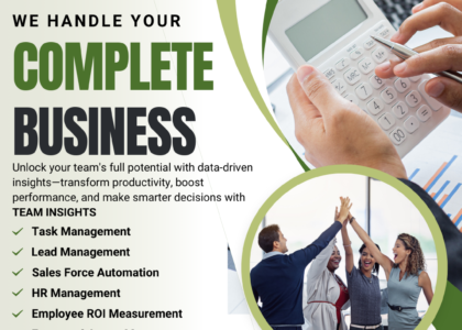 Team Insights - Business Management Software