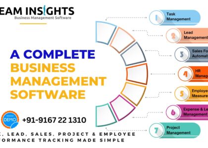 Business Management Software - Team Insights